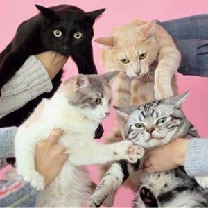 Meet your Posher, Erin